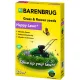  Barenbrug Dekogras 25 m² 0,5 kg