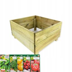  Mini-Gewächshaus 64 cm x 60 cm aus Holz