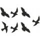  Hersteller von abweisenden Aufklebern gegen Vögel