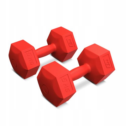 Hantelgewichte für Fitnessübungen, 2 x 5 kg, zusammengesetztes Sechskant-Set
