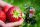  Walderdbeeren und Erdbeeren ELSANTA Knollen/Zwiebeln/Rhizome in Sammelverpackung 5-10 cm