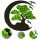  GESCHENK Baum des LEBENS BAUM DES GLÜCKS WOHNEN BILD Moos Moos BONSAI
