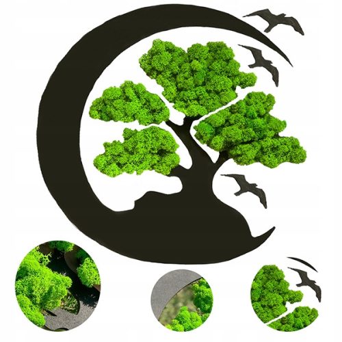  GESCHENK Baum des LEBENS BAUM DES GLÜCKS WOHNEN BILD Moos Moos BONSAI