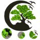  GESCHENK Baum des LEBENS BAUM DES GLÜCKS WOHNEN BILD Moos Moos BONSAI