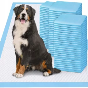  Saugeinlagen und Matten elektrobazar24 60 Stk.