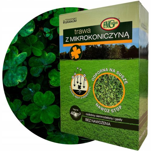  Ziergras, Grasmischung, für trockene Bereiche, Garten Granum 40 m² 1 kg