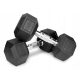  Feste Hanteln 2x10kg Gusseisen gummiert SET 20kg HEX zum Training SOLID
