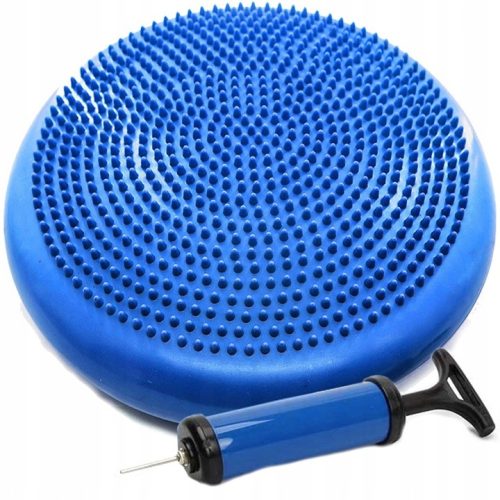  SENSORISCHES REHABILIOTATIONSKISSEN IGELSCHEIBEN-BODYNETICS-PUMPE