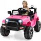  GOPLUS Rosa Auto
