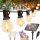  SOLAR GARTEN GARLAND LICHTERKETTE 10M 30+2ST G40 GLÜHBIRNE MIT FERNBEDIENUNG