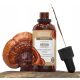 Reishi Extract Encann® AdaptSense - Wodno-alkoholowy Ekstrakt, 50 ml