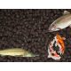 ALLER BRONZE SINKING FOOD TROUT 6mm Beutel 25kg