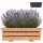  ModernClock Blumentopf 47 cm x 21 x 15 cm Naturholz, Braun- und Beigetöne