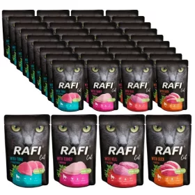  MIX Katzenfutterbeutel 40 x 100g RAFI