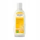  Weleda Shampoo 190 ml Regeneration und Feuchtigkeitsversorgung