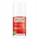  Weleda Roll-on Antitranspirant 50 ml