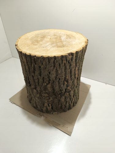  Eschenstumpf, Eschenblock, sehr hart, gesunde Größe. L 24–31 cm