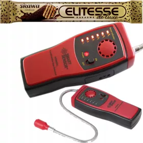  AS8800L Smart Sensor Erdgassensor