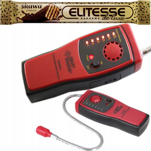  AS8800L Smart Sensor Erdgassensor