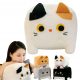  Teddybär Plüsch quadratisch CAT CAT schwarz für Kinder als Geschenk