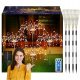  4x GARTEN SOLAR LED BAUMLAMPE Löwenzahn FEUERWERK 480LED FERNBEDIENUNG