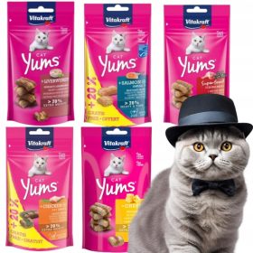  Vitakraft Cat Yums CHEESE Leckerbissen für Katzen 40g