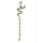  HAPPY BAMBOO DRACENA PFLANZE SPIRALHÖHE 45 cm IKEA