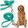  Paw Planet PVC-Trainingsleine, 5 m