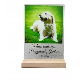    Statuette mit Foto – Hund, Katze, geliebtes Tier, Dow-Plakette, Gravur 22 x 17 cm