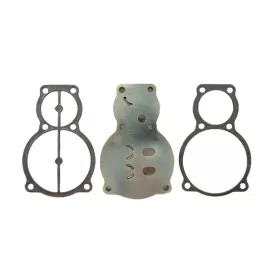  Ventilplatte mit Dichtungen ABAC B4900, NS29S