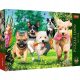 Trefl Premium Plus Qualitätspuzzles Premium-Puzzles 1000 Teile Tea Time: Es kommt Ärger! Puzzles mit Tieren Puzzles mit Tieren Puzzle-Set Puzzle für Kinder