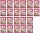 Trolli Playmouse 22x100g - Fruchtgummi in Mausform, Kartonpackung