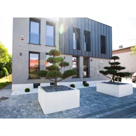  TC INVESTMENT Blumentopf 80 cm x 80 x 80 cm Beton