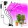 GROW-Set für den Anbau von EVI 90 W-Pflanzen