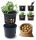  Prosperplast Blumentopf 39,2 cm x 39,2 x 31,6 cm Durchmesser 39,2 cm Kunststoff schwarz