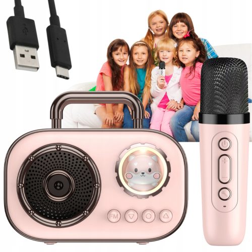  DRAHTLOSES KARAOKE-SET MIT BLUETOOTH-MIKROFON + LAUTSPRECHER FÜR KINDER + USB - USB-C-KABEL 0,5 M 50 CM WEISS