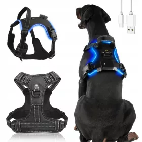    HUNDEGESCHIRR MIT LED-KERZEN STARK, DRUCKFREI, LEICHT, LANGLEBIG MIT GRIFF