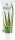  Forever Bright Zahnpasta mit Aloe und Propolis 130 g
