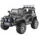  JEEP V12 4x4 2-Sitzer DAS STÄRKSTE 180-W-EVA-LEDER