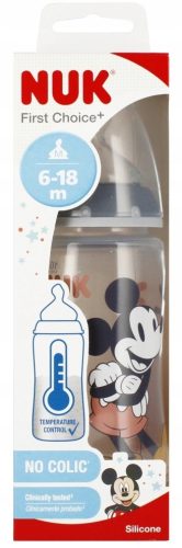  NUK Flasche 300 ml 741019