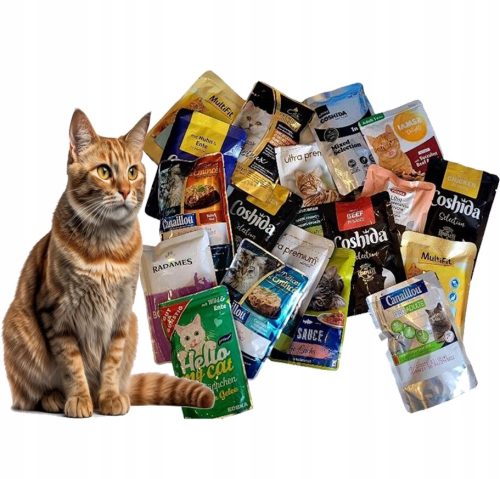  Nasses Katzenfutter, gemischtes Set, MIX aus Marken und Geschmacksrichtungen, 48-tlg