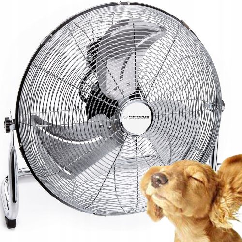 Esperanza CYCLONE Standventilator silber/grau