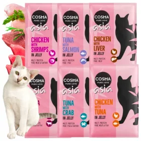  Cosma Asia Mix Box Set Beutel 6x100g