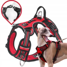    MONTANA Guard-Hundegeschirr STARK massiv PREMIUM Lalazoo rot M