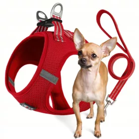    DRUCKFREIES GESCHIRR für einen Hund, atmungsaktiv, Mikrorasse MIAMI + LEINE, rot, XXXS