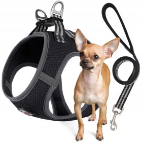    DRUCKFREIES Hundegeschirr für eine sehr kleine Rasse MIAMI + LEASH schwarz XS