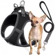  DRUCKFREIES Hundegeschirr für eine sehr kleine Rasse MIAMI + LEASH schwarz XS