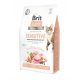  Brit Trockenfutter Lachs 7 kg