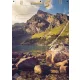  Sparschwein für 5 PLN - XXL-Wand 50x70 cm BILD - BERGE