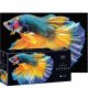  PUZZLE 250 ELEMENTE Bunter FISCH Interprint PUZZLE für ERWACHSENE GROß